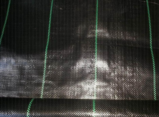 Tela tejida BV de tierra resistente ULTRAVIOLETA anti del control de malas hierbas de la tela de la cubierta